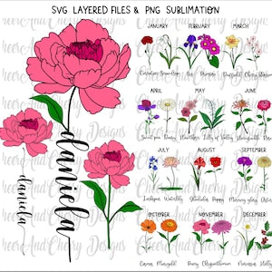 Birth flower bundle with layered monthly bloom clipart, pink, purple, red, green