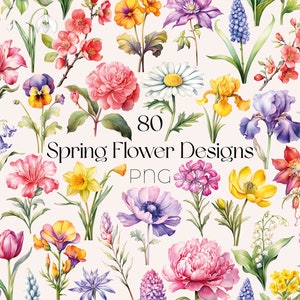 Watercolor spring flower clipart set with mixed wildflowers and blossoms, PNG pack