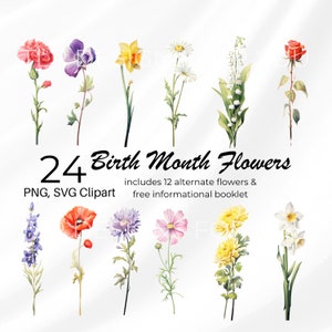 Watercolor birth month flower clipart bundle with roses, daisies, and wildflowers, PNG/SVG