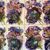 50 pcs ÔFantasyÕ *EDIBLE* XL PREMIUM pressed flowers & herbs - Chemical free, garden grown, hand pressed for baking/decorating