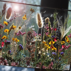 Hanging glass pressed-flower wall decor with colorful dried blooms and grasses