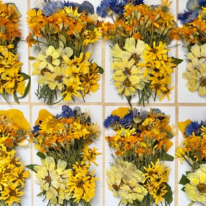 Assorted edible pressed flowers in small envelopes, yellow and orange blooms with blue accents