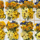 50 pcs ÔSunshine' *EDIBLE* pressed flowers & herbs - Chemical FREE, garden grown, hand pressed for baking/decorating