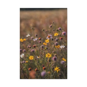 Vertical canvas wildflower field with colorful daisies and purple blooms