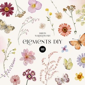 Watercolor wildflower and butterfly clipart elements with pressed flowers, stems, and leaves