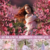 Blossom branch overlays, apple blossom overlay, painted flower, flowering tree branches, Flower Branches Overlays, Photoshop overlays