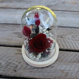 Small Glass Bell RHAPSODIE EN ROUGE, preserved red rose under glass bell, eternal rose gift for home decoration