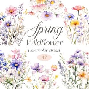 Watercolor spring wildflower clipart bundle with pastel blooms and petals, 47 elements