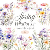 Spring Wildflower Clipart, Watercolor Floral Clipart Bundle, Flower Bouquet, Spring Floral, Wildflower PNG, Digital Download