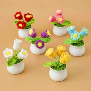 Hand-knitted crochet potted flowers set, green leaves with multi-color blooms in white pots