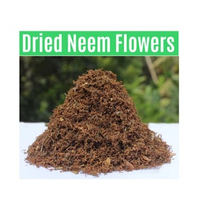 Dried neem flowers mound with small brown floret pieces
