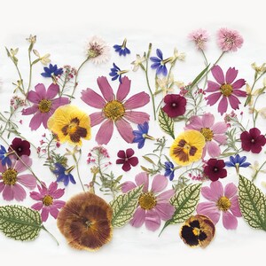 Mixed edible flower set with pink, blue, and purple blooms and leaves