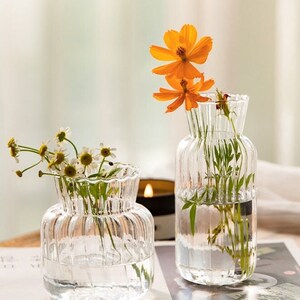 Fresh orange and white flowers in three clear glass vases with water