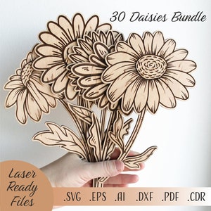 30 Daisies SVG Bundle, Laser Cut Glowforge Cricut Digital download Files, Vector Daisy Flowers Bouquet for Mom Wood Florals Mothers day gift