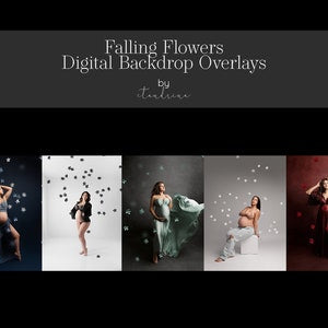 Falling flower backdrop overlays with tiny floral elements for Photoshop maternity photos