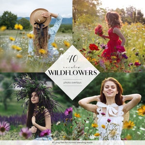 Wildflower photo overlay set with floral frames and 40 PNG elements, summer flowers