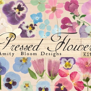 Pressed flower ephemera kit with fussy-cut floral paper pieces in assorted colors