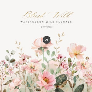 Watercolor blush wildflower illustration with soft pink flowers and green leaves
