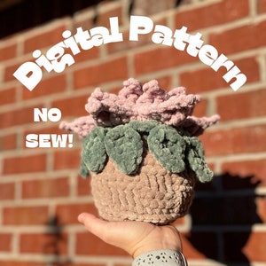 No-sew crochet flower in a pot, pink blossoms on textured tan pot