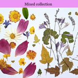 50 Edible flowers and leaves/Canadian organic pressed flowers cake decoration/food safe flowers and leaves/press dried wedding cake flowers