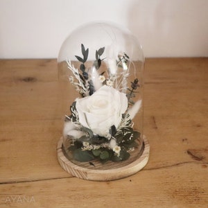 Glass bell decoration with preserved white rose and eucalyptus on a round base
