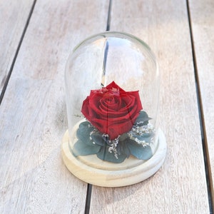 Glass bell JOUR DE FETE original hand made Flower gift, Preserved flowers eco-responsible home decoration, eternal rose glass bell