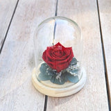 Glass bell JOUR DE FETE original hand made Flower gift, Preserved flowers eco-responsible home decoration, eternal rose glass bell