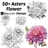 Procreate Asters Flower Stamps | 50+ Asters Flower Procreate Brushes | Botanical Procreate | Floral Procreate | Nature Procreate Brushes