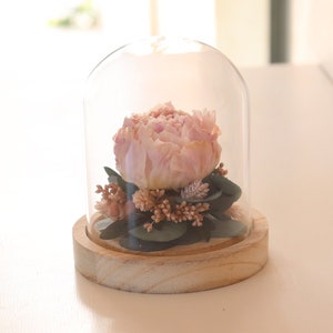 Pale pink eternal peony under glass bell with dried floral arrangement on wooden base