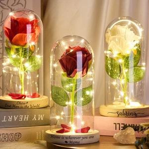 Galaxy rose LED light in clear dome with warm lights, gift box base