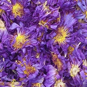 Crushed Egyptian blue lotus petals with yellow stamens in a purple floral mix