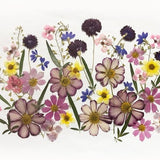 50+ Mixed Pressed Flowers - Edible Flowers  for Cake Decorations,  Crafts, Flower Arts - DF 047-7