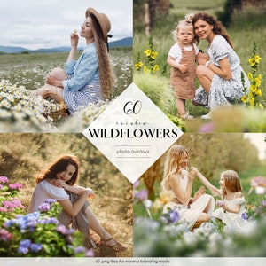 Wildflower photo overlay set with 60 transparent PNG files featuring summer flower photos