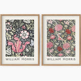 William Morris Cray and Compton poster Set of 2 prints Wall art for living room Red and Pink flowers Black background Floral illustration