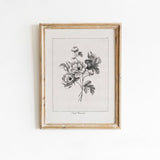 Vintage Flower Etching | PRINTABLE Floral Wall Art | Black & White Bouquet | Country Flowers