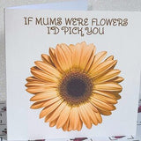 Mother's Day Card If Mums Were Flowers I'd Pick You Orange Gerbera Flower Mum Mummy Mother Daughter Square Linen Effect Free Delivery