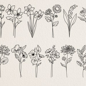 Botanical birth flower line art set, black ink flower stems and blooms illustration