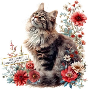 Watercolor floral cat portrait clipart bundle with tabby cat and pink flowers