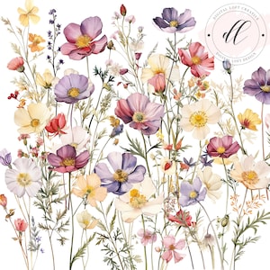 Watercolor wildflower clusters with layered blooms and thin stems, transparent background