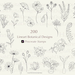 Botanical Procreate stamp set with line-art flowers, leaves, and cacti, 200 designs