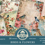 Mixed Media Shabby Chic Vintage Birds & Floral Digital Paper, Shabby Chic Paper Pack, Spring Flowers and Birds Scrapbook Collage Sheets, ATC