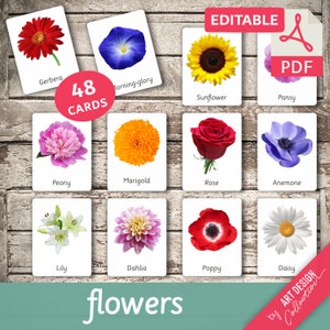 Set of flower flash cards, 48 editable Montessori cards with colorful flower illustrations and names