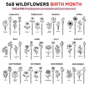 Wildflowers birthmonth SVG bundle graphic set with 12 month flower illustrations