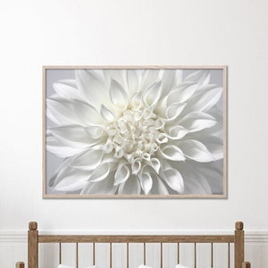 Framed white dahlia flower wall art print with detailed macro petals