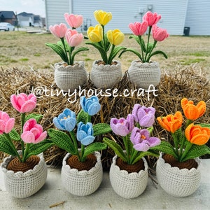 Flower pot amigurumi / tulip pot crochet / crochet lily / crochet daisies/ crochet tulips/