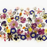 50+ Mixed Pressed Flowers - Edible Flowers  for Cake Decorations,  Crafts, Flower Arts - DF 048-6