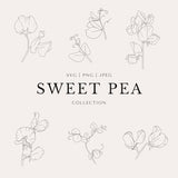 Sweet Pea Clip Art Set | Minimal Abstract Line Art | Fine Line | SVG | PNG | JPEG