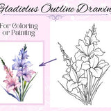 Gladiolus Flower Drawing Outline Printable PDF Digital Download for Coloring or Painting