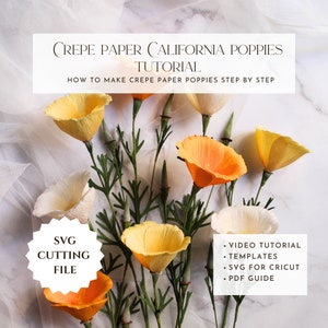 Crepe paper California poppy flower template with step-by-step tutorial and finished blossoms