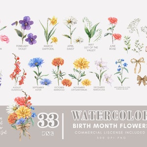 Watercolor birth month flower clip art set with labeled flowers and floral elements